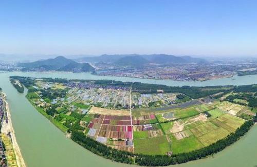 杭州超23万平方米玫瑰花海“五一”绽放