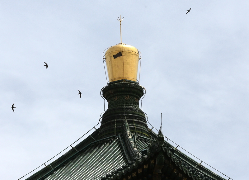 西安钟楼金顶金箔脱落被疑是破洞 金顶上次大修已是20多年前