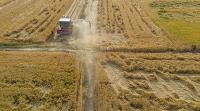 航拍关中收麦子