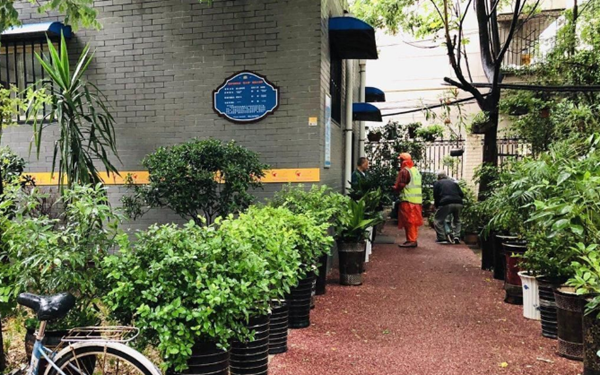 西安公厕管理员打造“花园公厕” 五年栽种上百盆绿植花卉