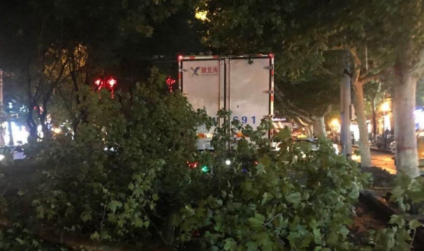 货车撞倒行道树占据两个车道 民警紧急排除交通拥堵