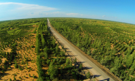 毛乌素沙漠腹地建万亩以上片林165块 近200万亩农田得到保护