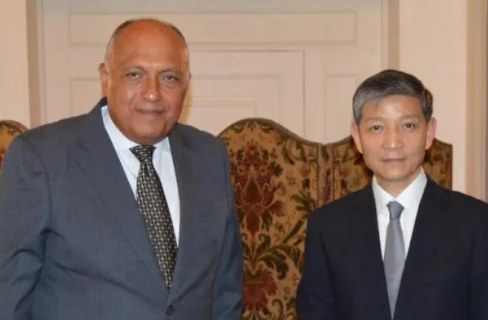 埃及外长会见中国驻埃及大使：中方抗疫的成功经验值得各国学习