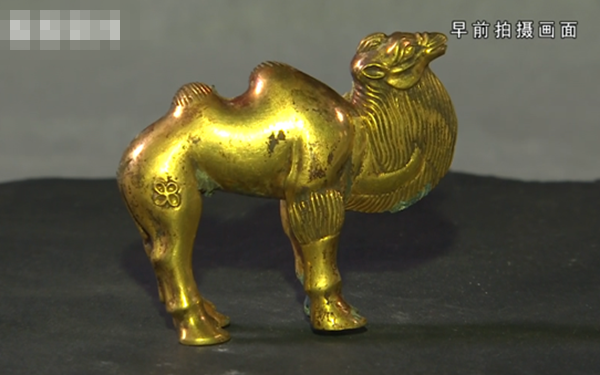 秦始皇帝陵考古重大收获 金银乐舞俑等首次面世
