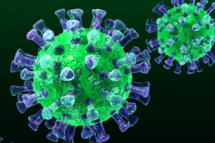 新发现！研究称新冠病毒在猪皮肤上可以存活