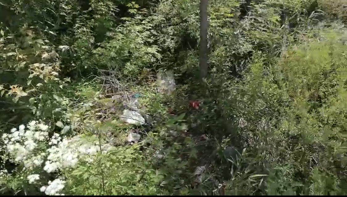 警方发现农药瓶玻璃碎片的山坡距离靳金保家直线距离不到50米。澎湃新闻记者 陈雷柱 图