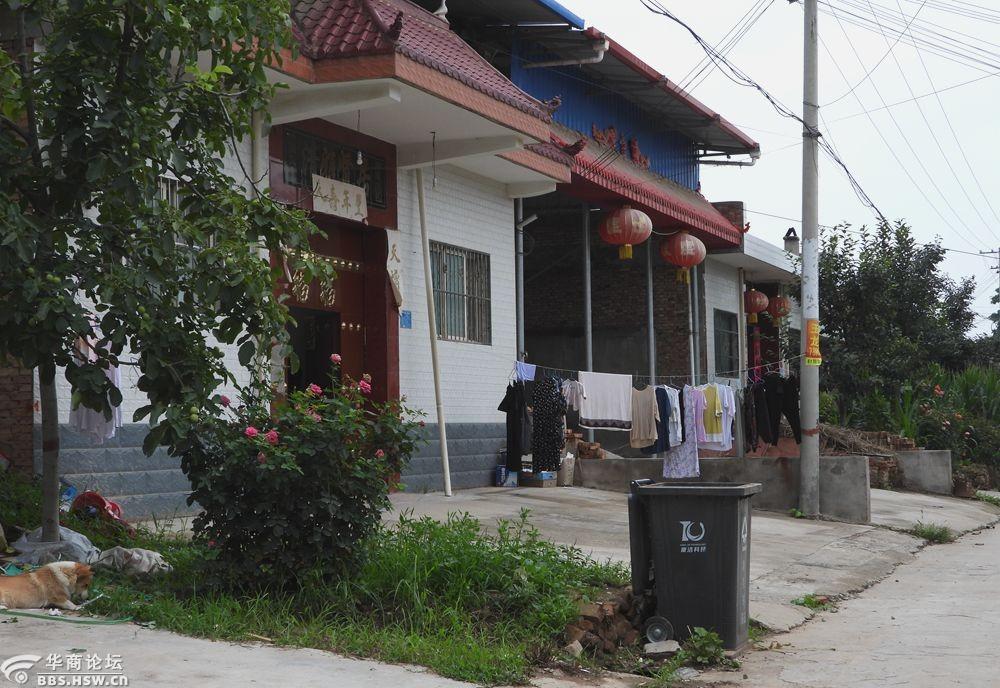 实拍农村街道门前环境美