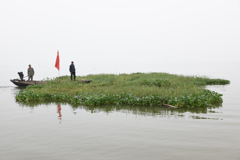 因水草能挡一定的风浪，为了保护湖堤，三八湖堤驻守的村民根据经验，把湖中的蒿草排拉至岸边。 董悦、朱清元 供图
