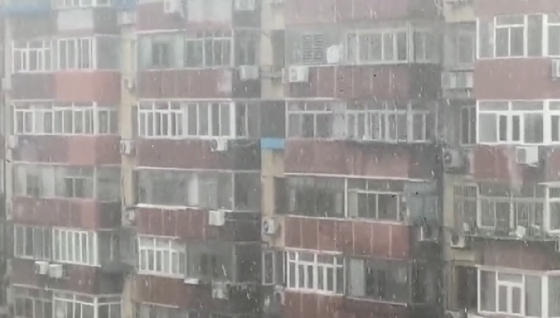 今天京城飘“雪”了？市民拍下这神奇一幕，气象专家释疑