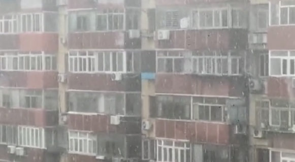 今天京城飘“雪”了？市民拍下这神奇一幕 气象专家释疑