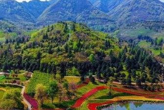 秦岭国家植物园园区森林覆盖率达95% 珍稀濒危植物数量逐年增加