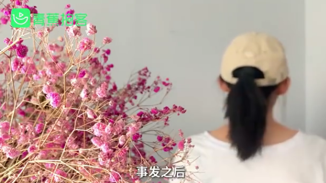 河北一干部疑出轨家暴并在妻子死后失联 官方介入调查