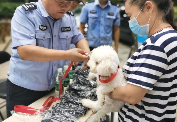 西安警方为全市在册狗狗统一配发牵引带 养犬户可免费领取