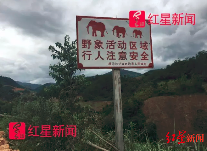 资料图：澜沧县发展河乡黑山村的野象活动区域警示牌