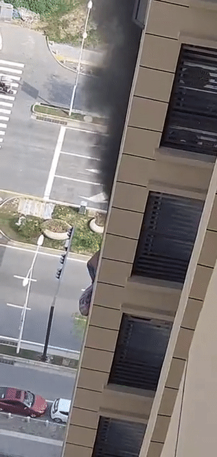 01b5e573fecb917e86e3acc72a141d4c[00-00-01--00-00-06]_爱奇艺.gif
