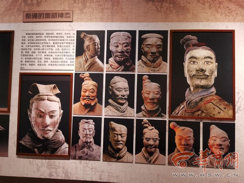 秦陵博物院国庆前推出新展 快来感受兵马俑摄影带来的