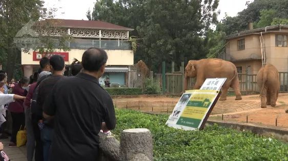 无视提示牌游客竟喂大象吃塑料袋？网友们这样说