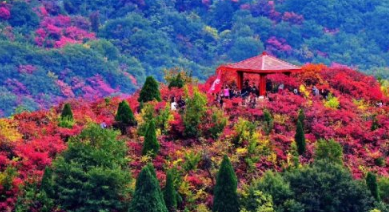 赶紧出发！韩城这几处自驾旅行打卡地每一处都是绝美秋色