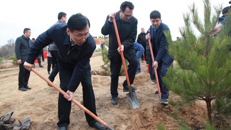 陕西省国家储备林基地开工建设！到2025年将建成168万亩基地