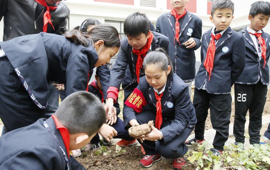 西安八府庄小学召开一场特别“招标”校园里种菜开园前先“竞标”