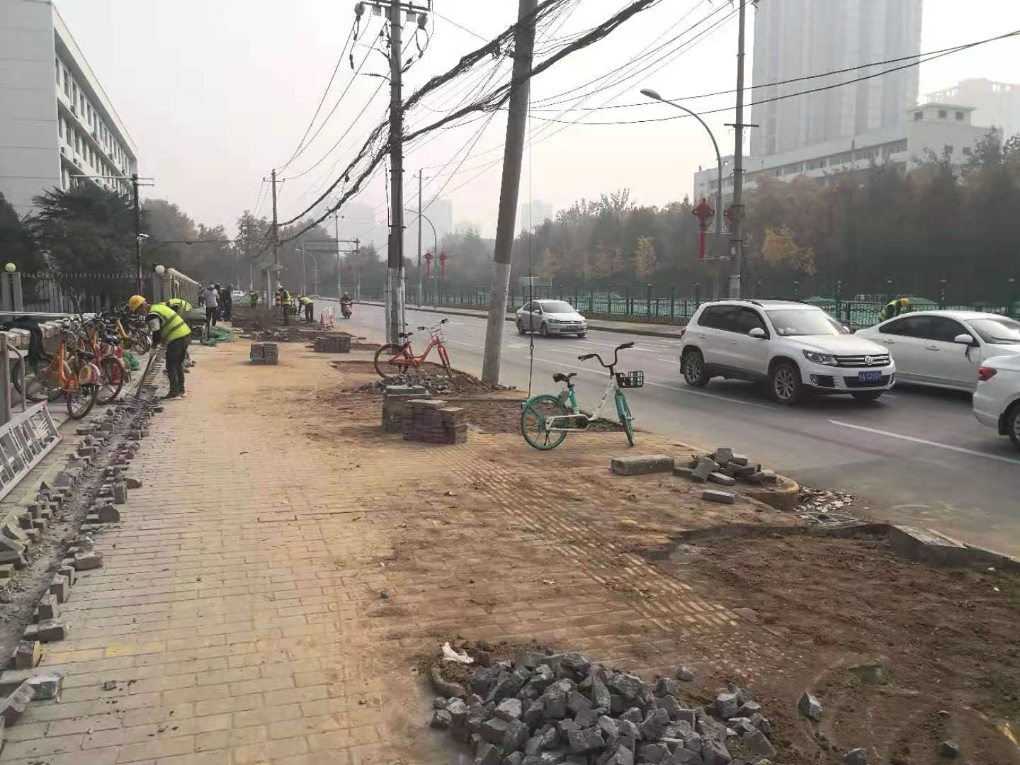 西安大庆路数十棵法桐遭无情砍伐？施工单位：为修八号线移植