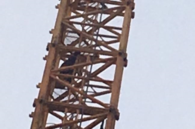 西咸新区一男子为讨医药费爬上几十米高的塔吊 钱要到了人被拘了