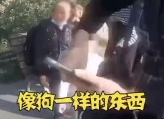 阻止游客的孩子骑雕塑 杭州西湖保安遭辱骂“像狗一样”