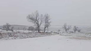 初雪降至！榆林迎来今冬首场降雪 定边降雪量已达2.2毫米