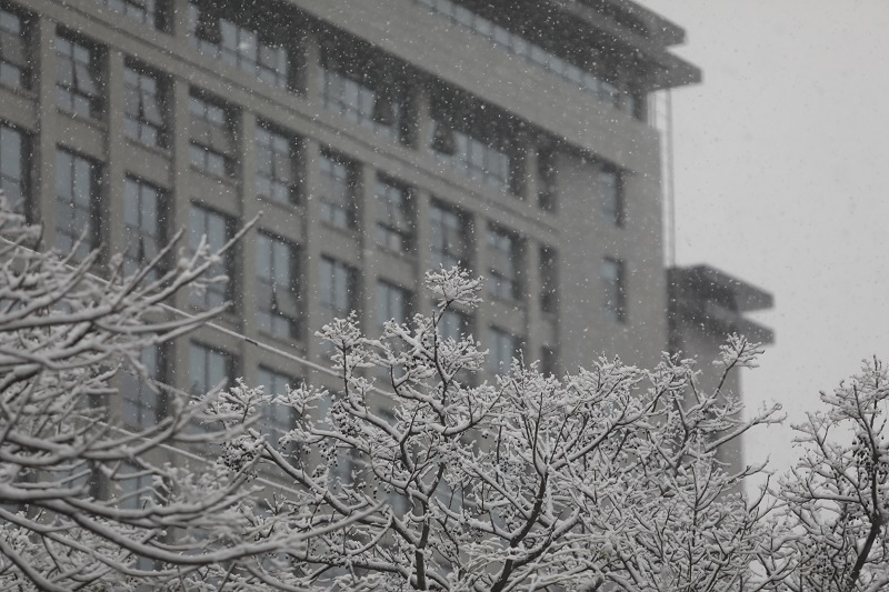 西安今冬初雪退场 未来三天陕南雨雪将持续