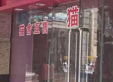 因违规出售活体猫狗 西安骡马市商业街九家宠物店被取缔