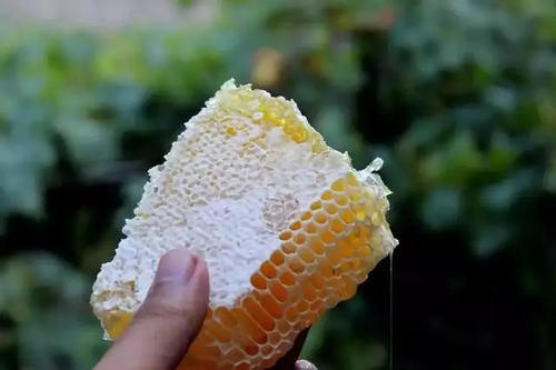 汉中汉农蜂业生产的土蜂蜜抽检不合格 若有购买请打12315