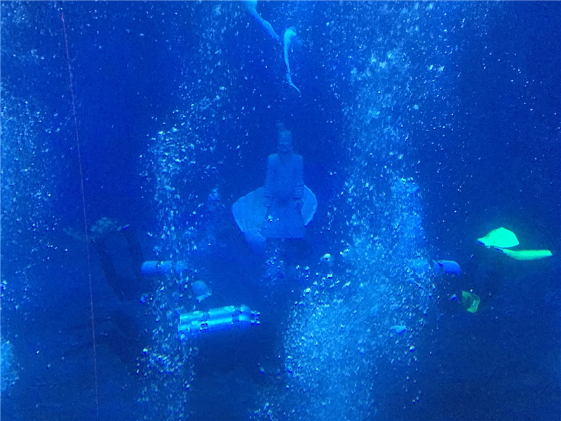 “兵马俑”现身西安一海洋馆引围观 游客潜泳感受“海底秦”