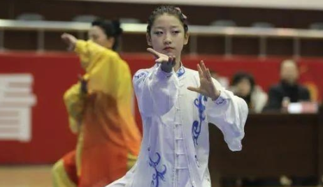 陕西省太极拳公开赛在宝鸡开幕，340名太极高手登台“过招”