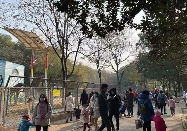 武汉动物园周日游客量创本月新高 大波游客赶闭园前来怀旧