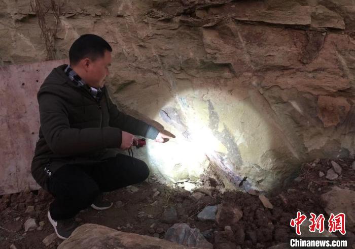 李先生在路边发现的疑似恐龙腿骨化石。受访者李先生 供图