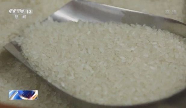 反食品浪费法草案来了!一粒粮食背后蕴含怎样的价值?(图2)