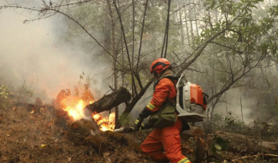 云南香格里拉发生森林火灾 已投入1100余人紧急扑救