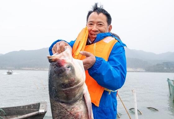 鲜活肥美 浙江东钱湖新年冬季捕鱼第一网来了