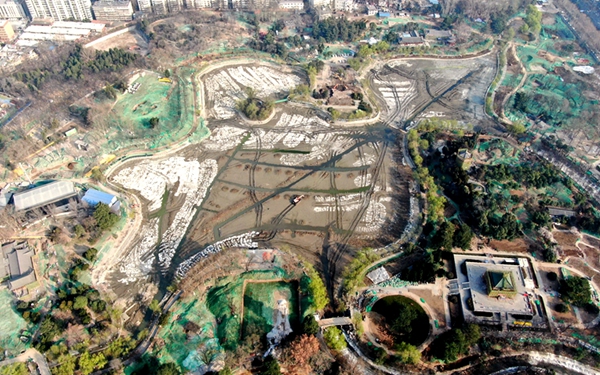 航拍兴庆宫公园改造 湖体已完成消杀花萼楼外立面正修缮