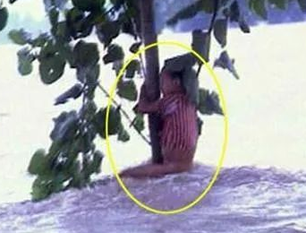 23年前洪水中的＂抱树女孩＂成为警察 曾请战抗疫
