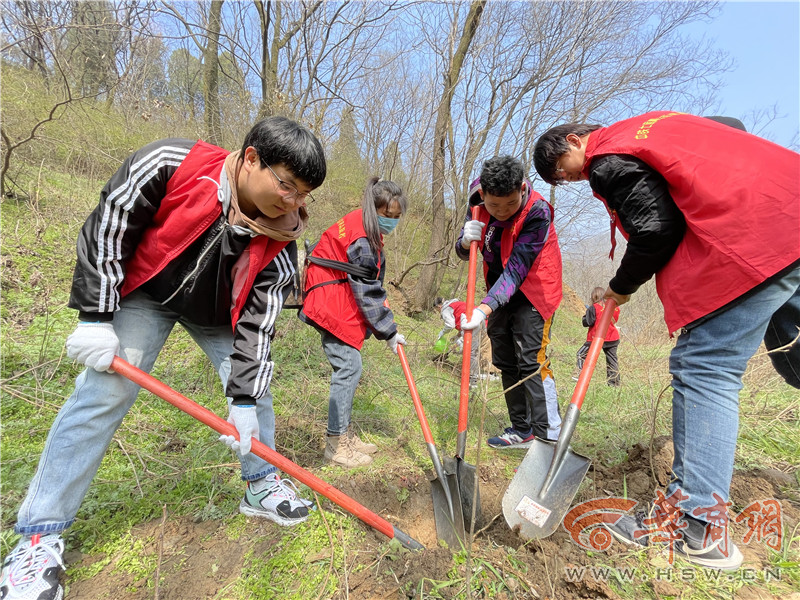 中铁七局西安公司团委组织青年开展植树公益活动