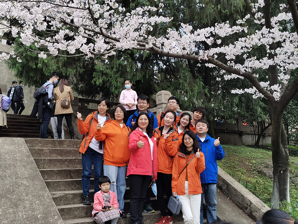 上海第六人民医院的援鄂医疗队员们在樱花树下合影留念。