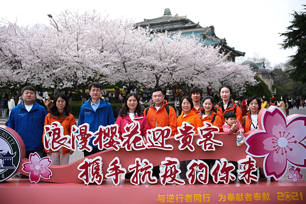 3月13日上午，来自上海第六人民医院的援鄂医疗队领队范小红带领队员赶赴武汉大学赏樱。  本文图片均为受访者提供