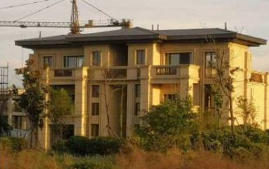 洛阳没收中国国画院20套违建别墅 前副院长回应