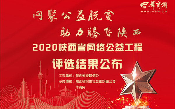 2020陕西省网络公益工程评选结果公布