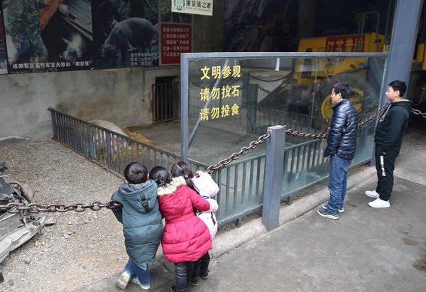 2018年1月6日，游客前来探望生病中的“猪坚强”。