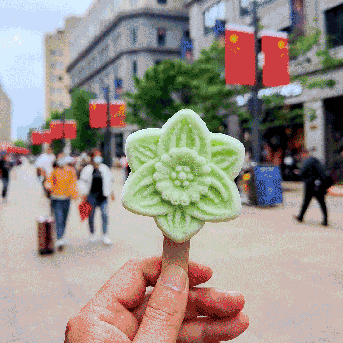 上海●花博会鲜花雪糕 