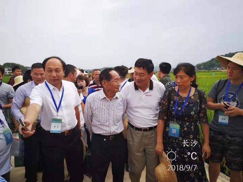 袁隆平与汉中大米的故事：超级稻示范亩产超800公斤