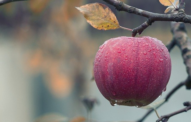 经常吃水果对身体有好处？带你揭秘这7种常见水果的营养功效！