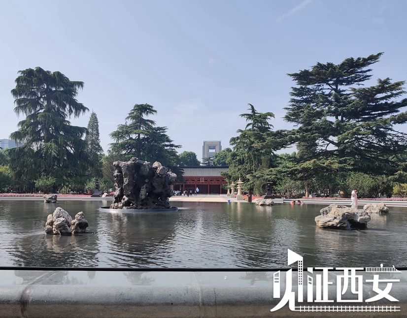 见证西安丨西安兴庆宫公园7月1日起正式免费开放 以全新面貌开门迎客